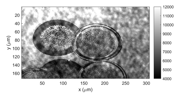 Example of optically switched magnetic areas 2