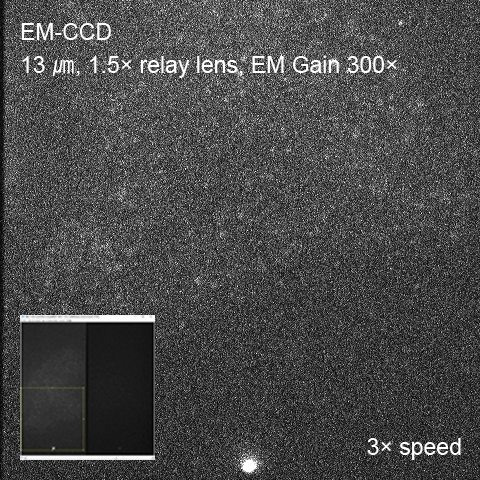 Imaging example of single molecule imaging with EM-CCD camera
