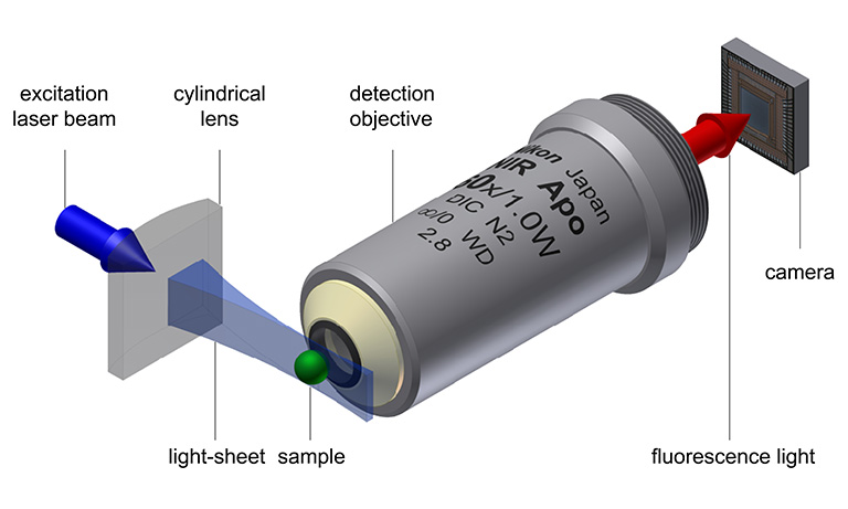 Light-sheet microscopy principle