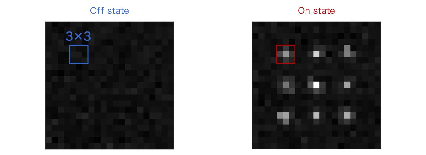 Acquisition of integrated intensity via image simulation