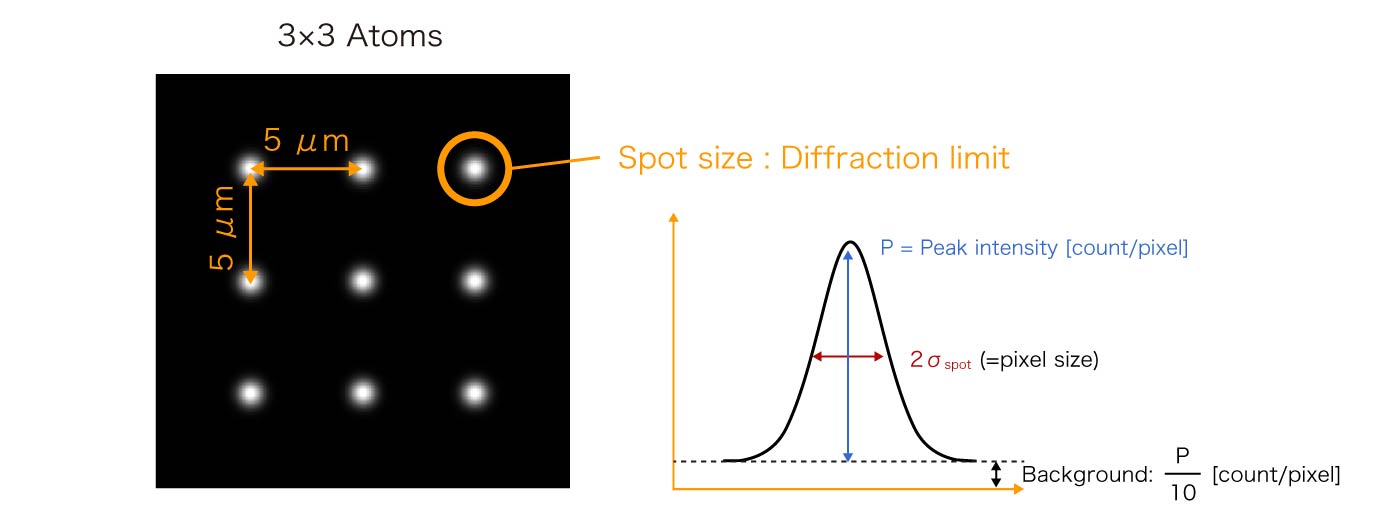 Simulation conditions for atomic fluorescence detection
