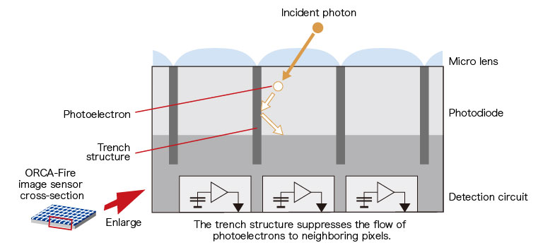Trench structure