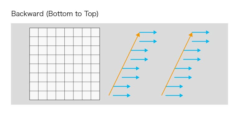 Lightsheet Backward