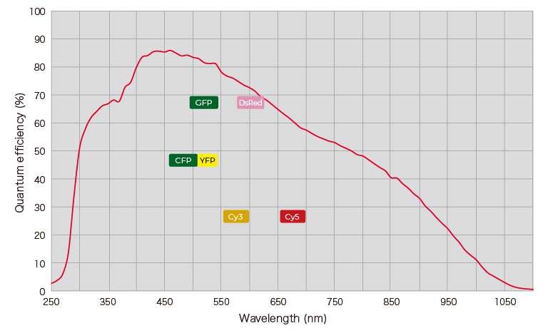Quantum efficiency and Wavelength map