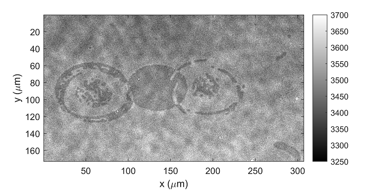Example of optically switched magnetic areas 1