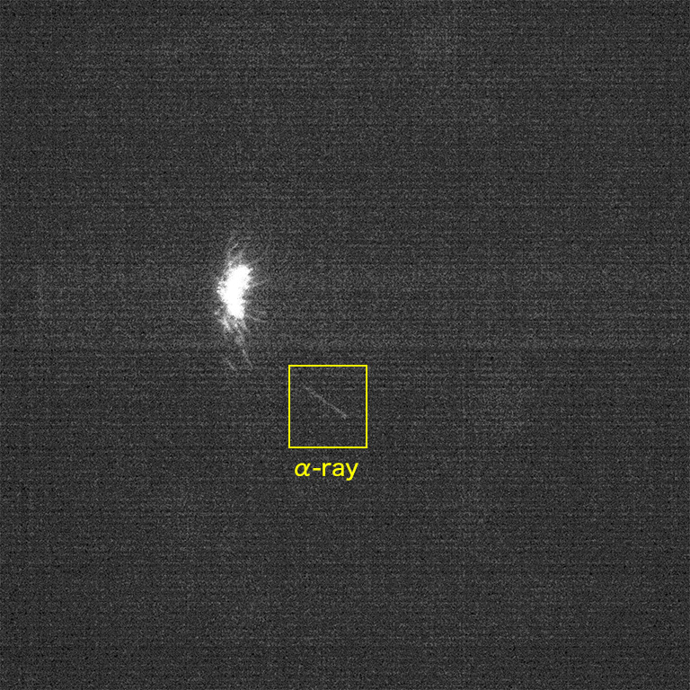 Visualized image of alpha radiating using ORCA-Flash 4.0 V3