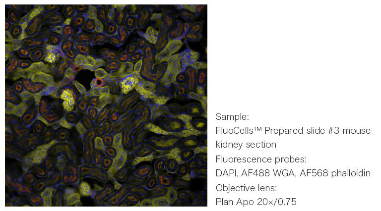 c11440-42u40 view sample