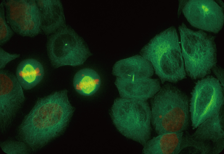 Super-resolution images from ORCA-Fusion