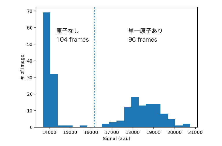 原子サイトの輝度ヒストグラム