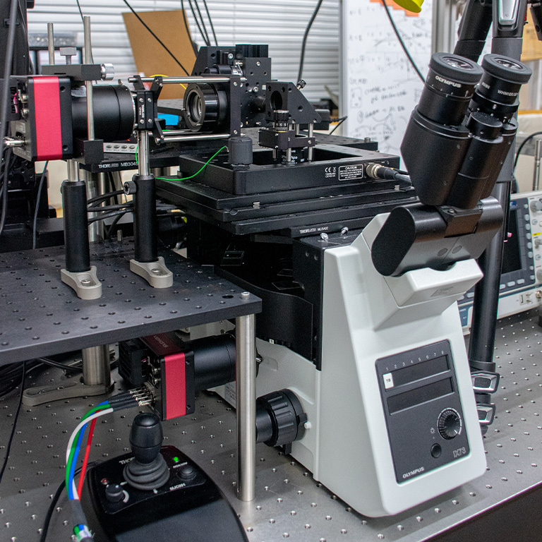 2台のライトフィールドカメラを用いた4πシステム