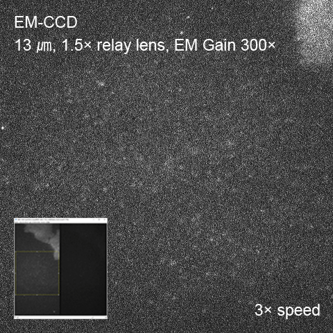 EM-CCDカメラによる単一分子イメージングの撮像例