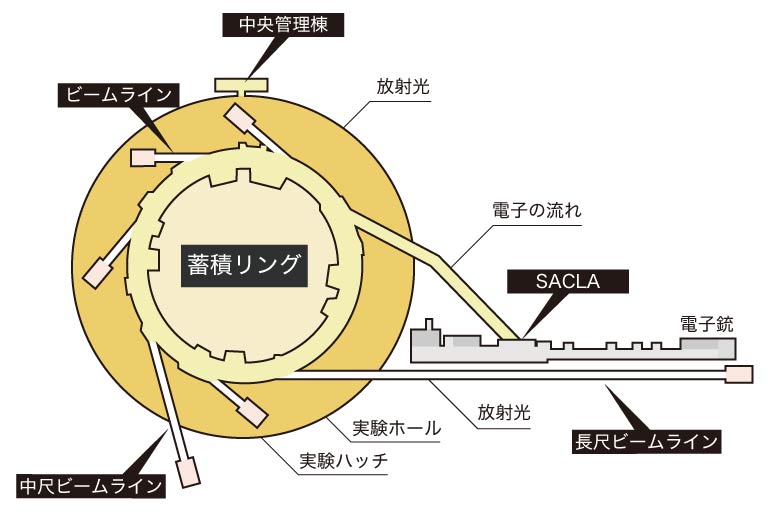 SPring-8の内部構造