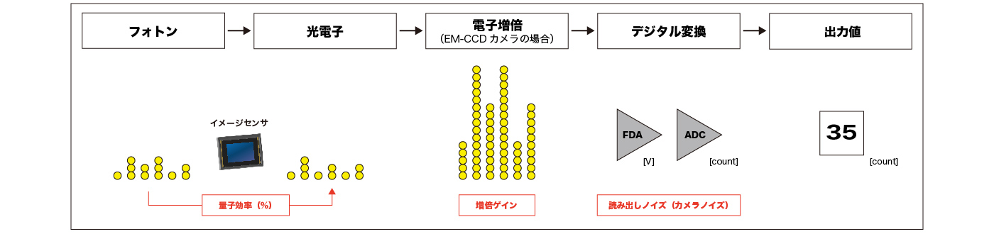 カメラにおける信号取得からデジタル出力までのフロー