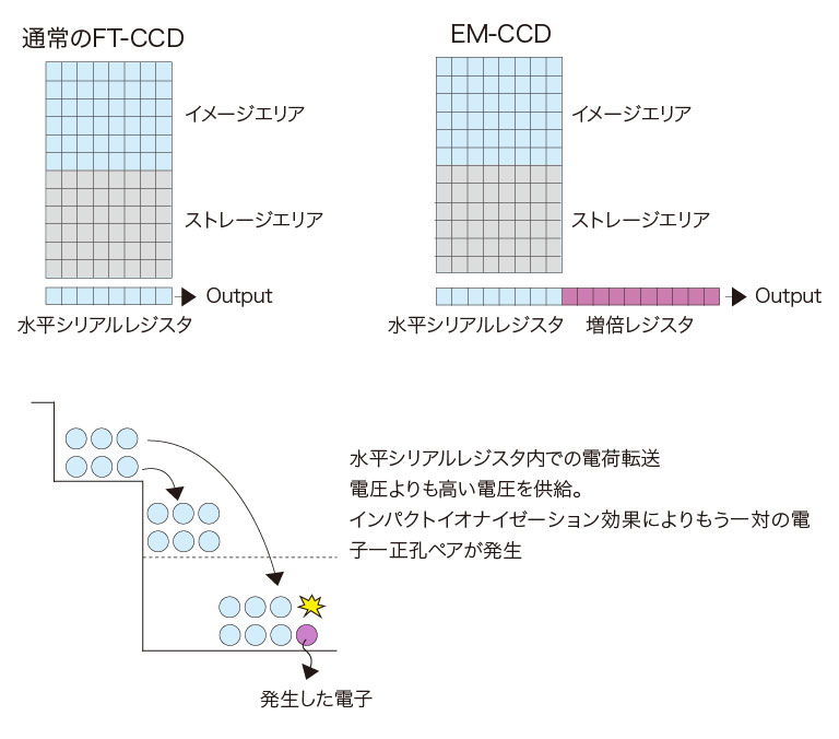 CCDカメラとEM-CCDカメラの違い