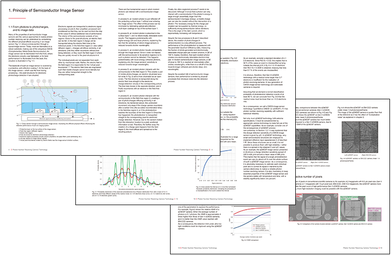 c15550-20UP ホワイトペーパー
