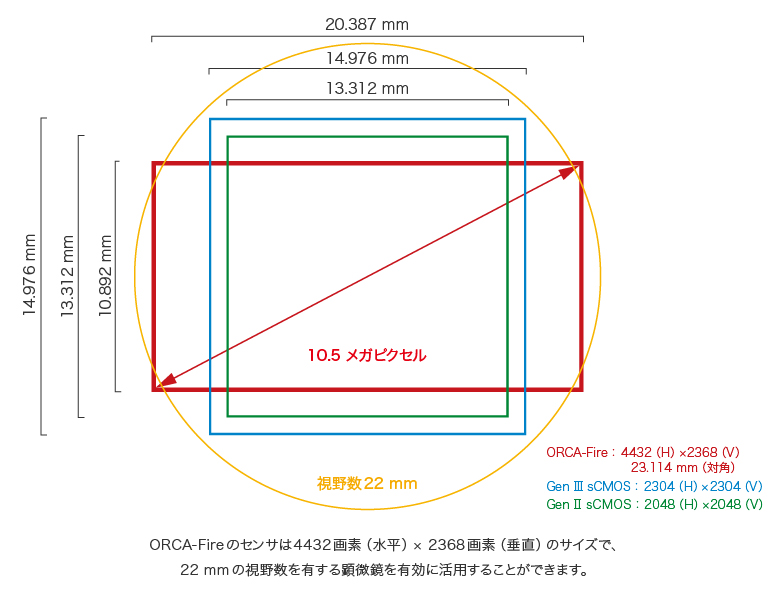 顕微鏡の視野とセンササイズの関係