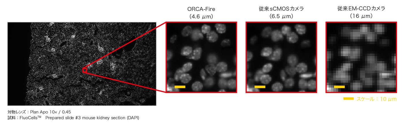 画素サイズの違いによる画質の比較