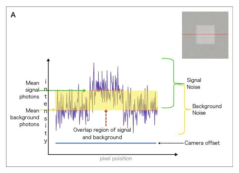 Graph depict the signal intensity and noise