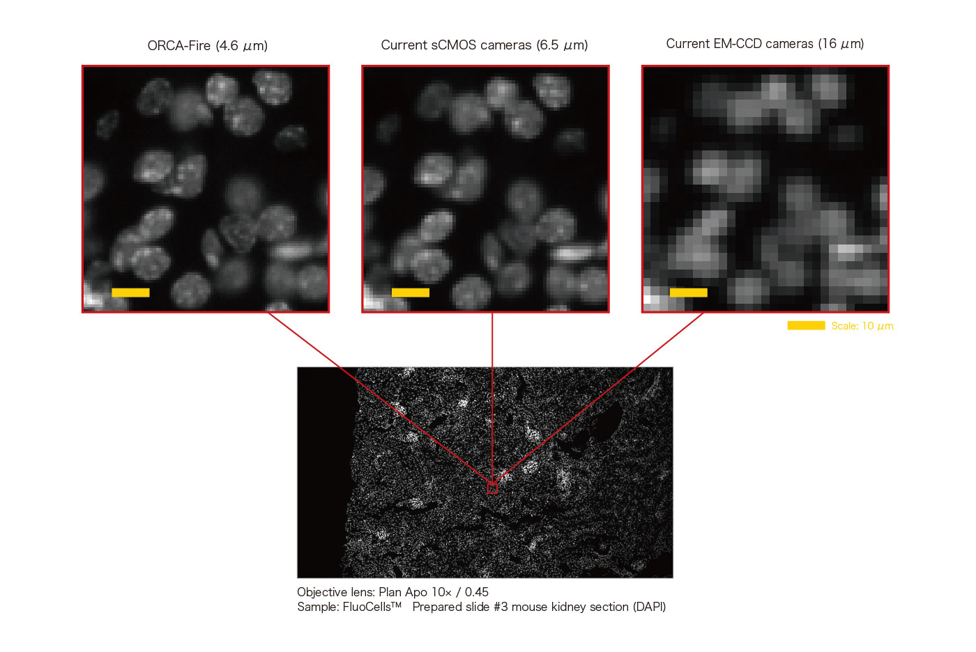 Comparison of image quality